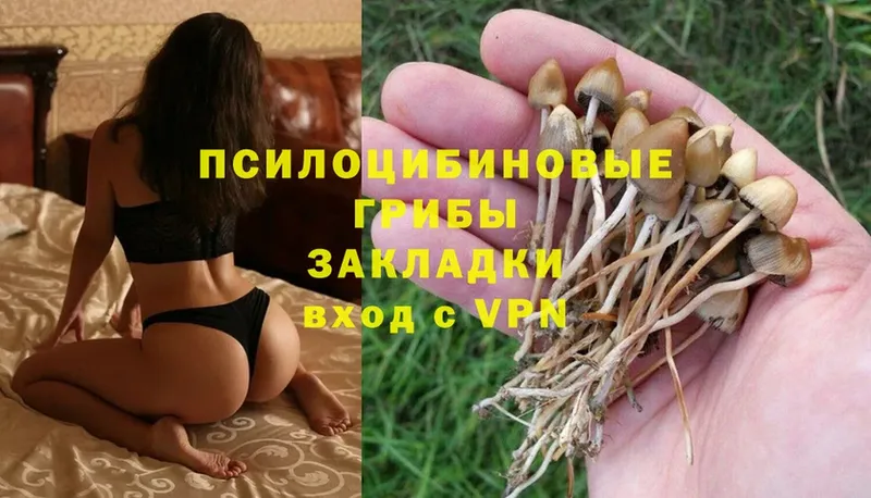 Псилоцибиновые грибы MAGIC MUSHROOMS  где найти   Нарткала 