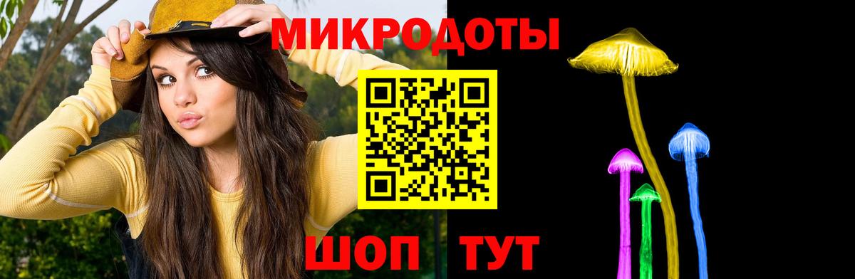Псилоцибиновые грибы Psilocybe Нарткала